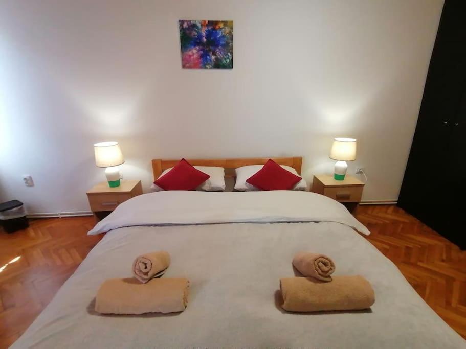 Cozy 1-Bdrm Apt In Dubec, Ideal For Work Or Study Sesvete Εξωτερικό φωτογραφία